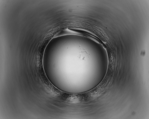 X0000101170416200806271039