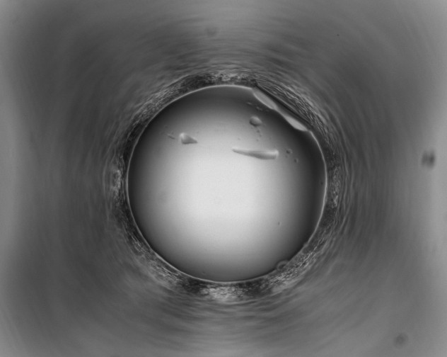 X0000101170417200806271039