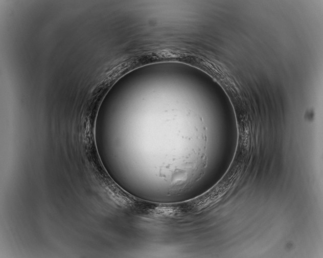 X0000101170418200806271039