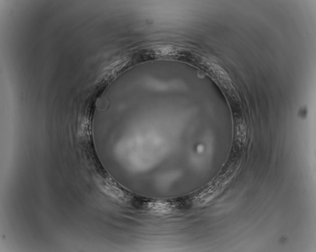X0000101170419200806271039