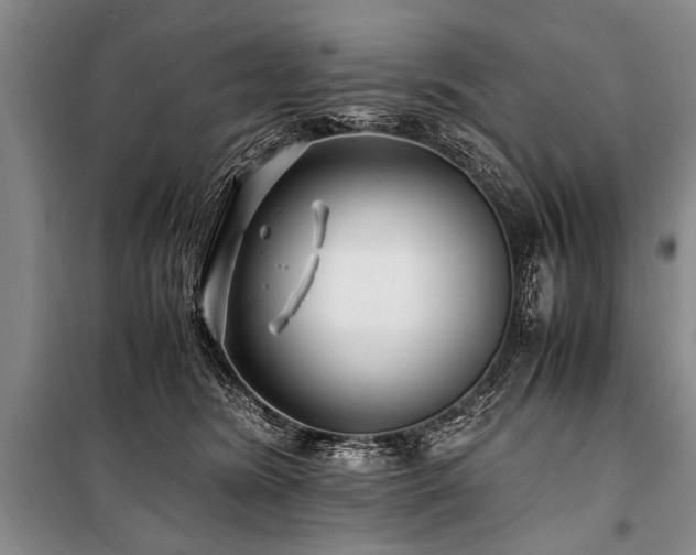 X0000101170420200806271039