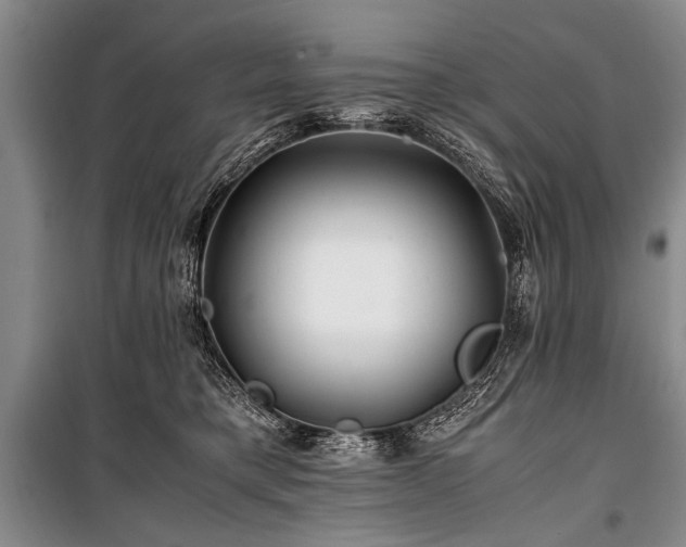 X0000101170421200806271039
