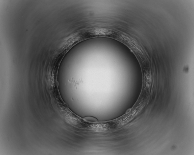 X0000101170422200806271039