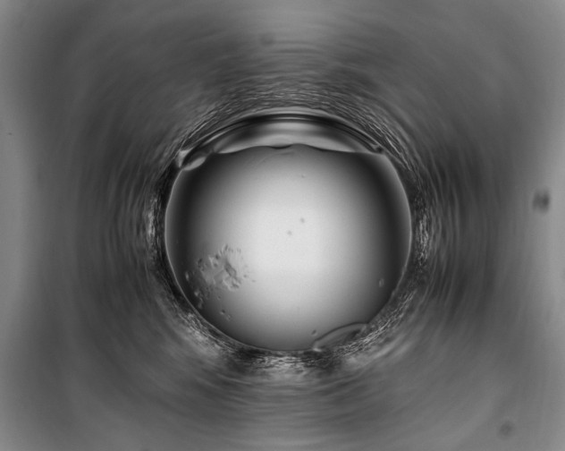X0000101170424200806271039