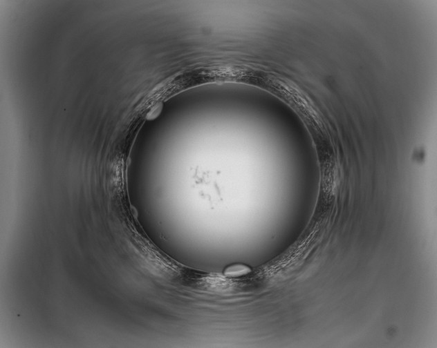 X0000101170425200806271039