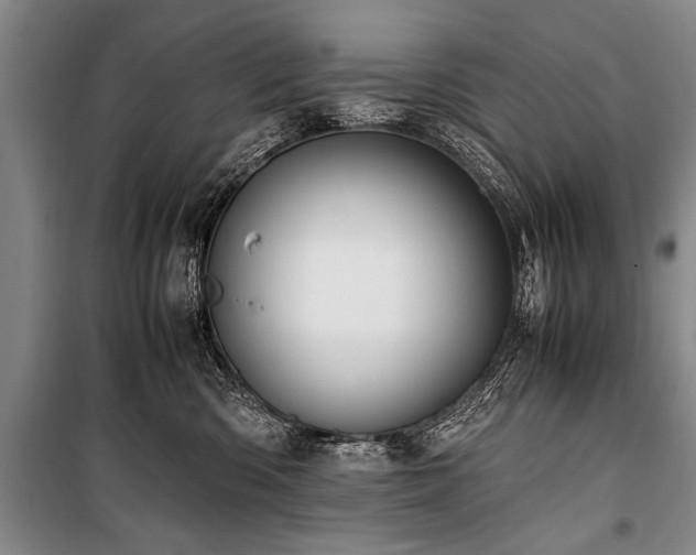 X0000101170426200806271039
