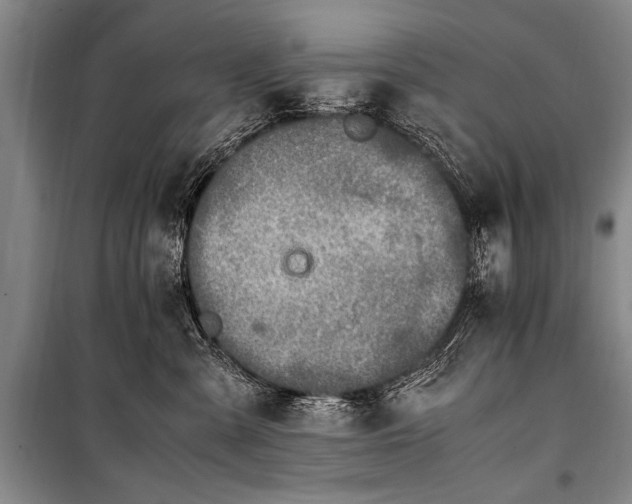 X0000101170427200806271039