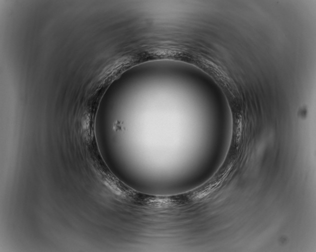 X0000101170428200806271039