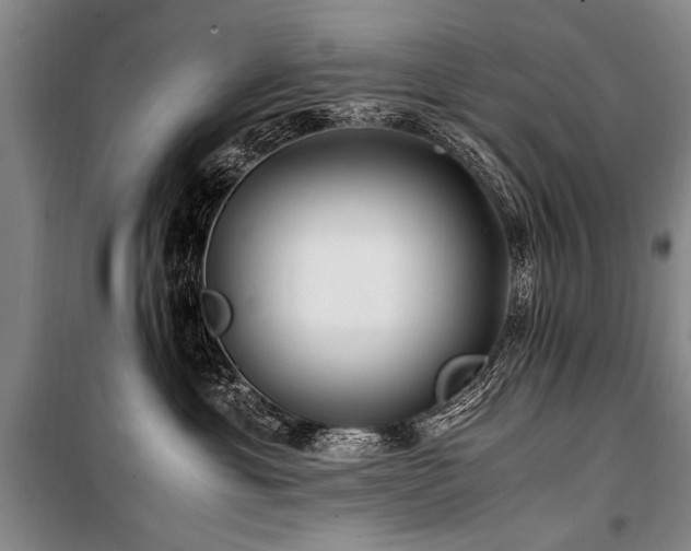 X0000101170429200806271039
