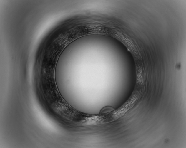X0000101170430200806271039