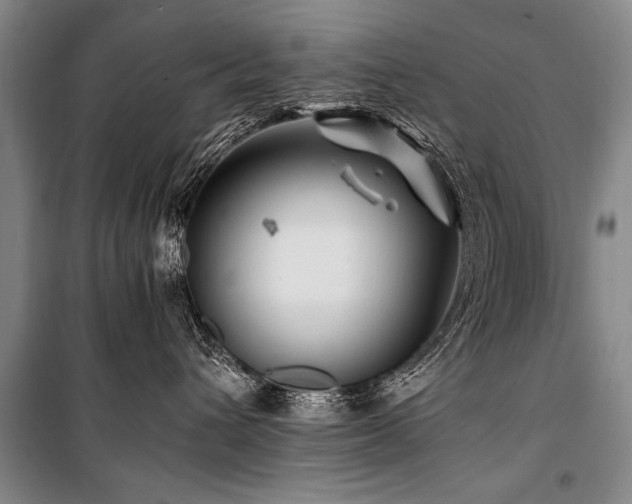 X0000101170432200806271039