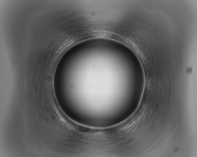 X0000101170433200806271038