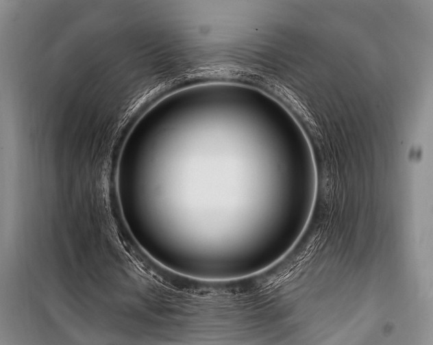 X0000101170434200806271038