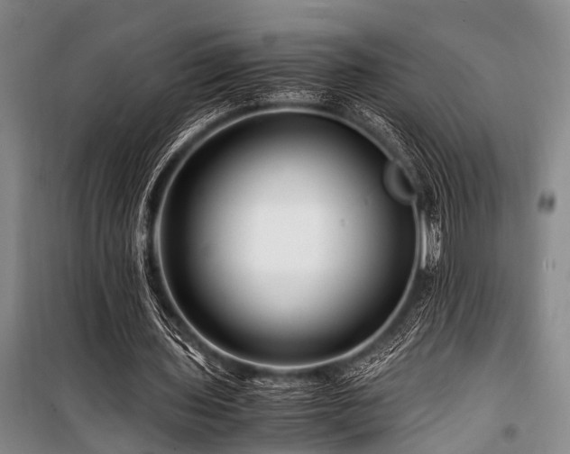 X0000101170435200806271038