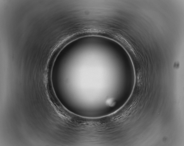 X0000101170436200806271038