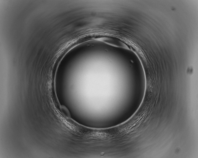 X0000101170437200806271038