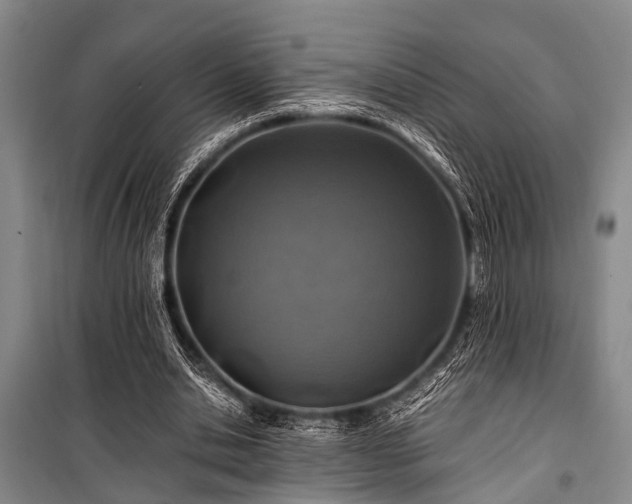 X0000101170438200806271038