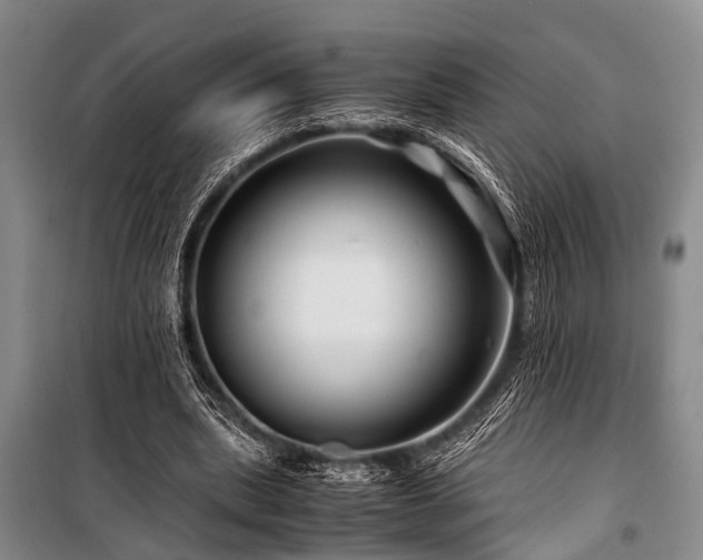 X0000101170439200806271038