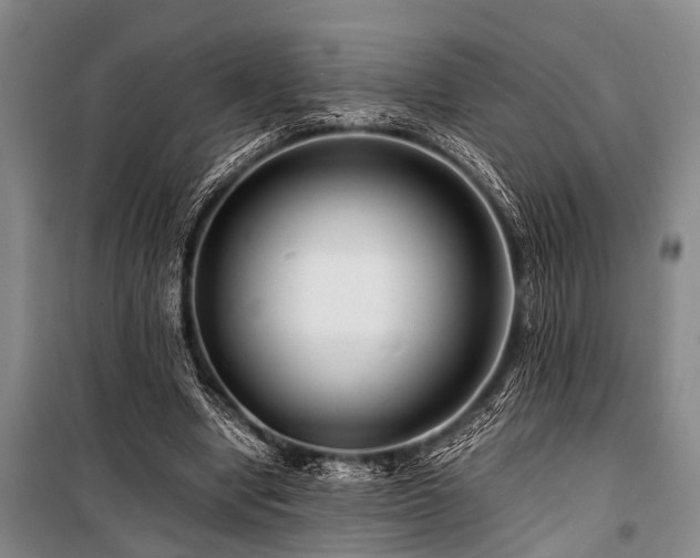 X0000101170442200806271038