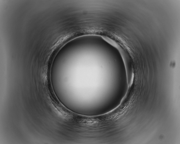 X0000101170443200806271038