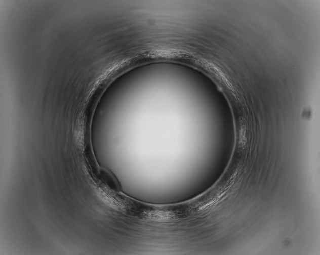 X0000101170444200806271038