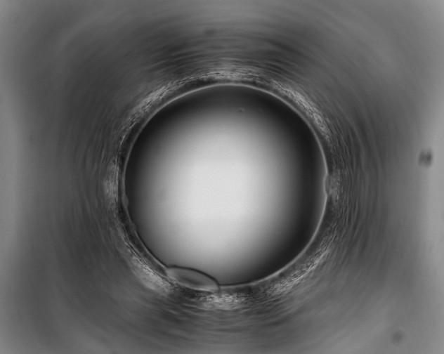 X0000101170445200806271038
