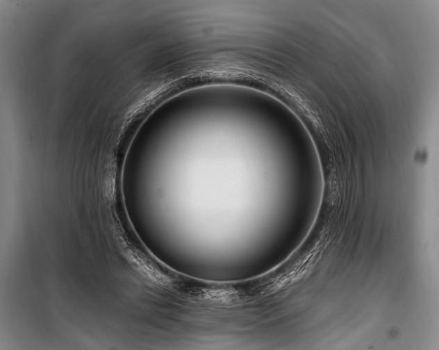 X0000101170446200806271038