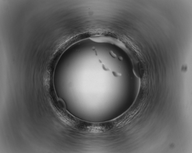 X0000101170448200806271038
