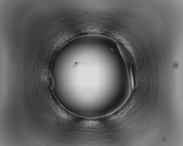 X0000101170449200806271038