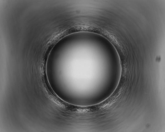 X0000101170450200806271038