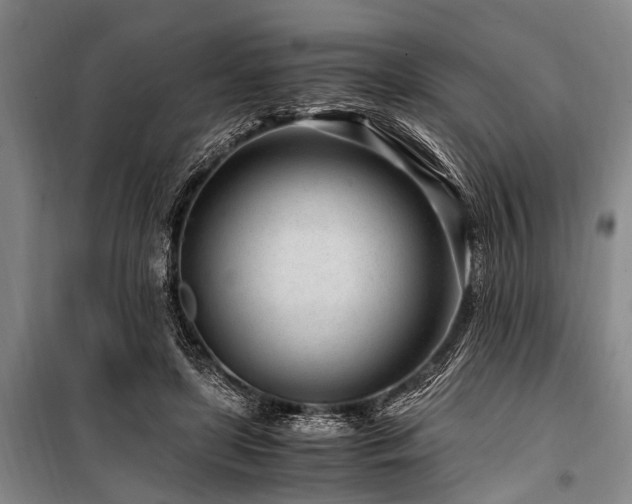 X0000101170451200806271038