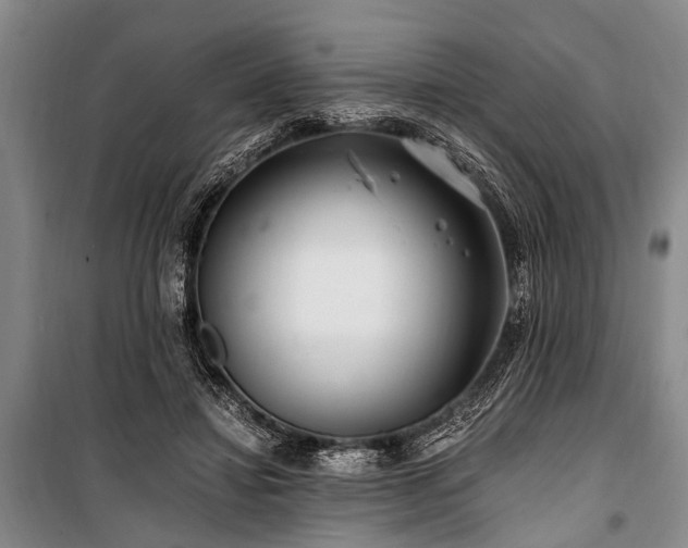 X0000101170452200806271038