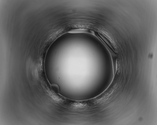 X0000101170453200806271038