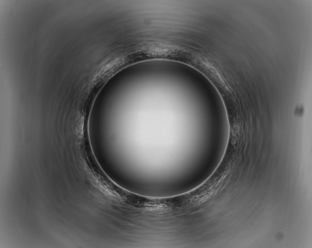 X0000101170454200806271038