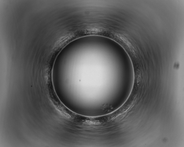 X0000101170455200806271038
