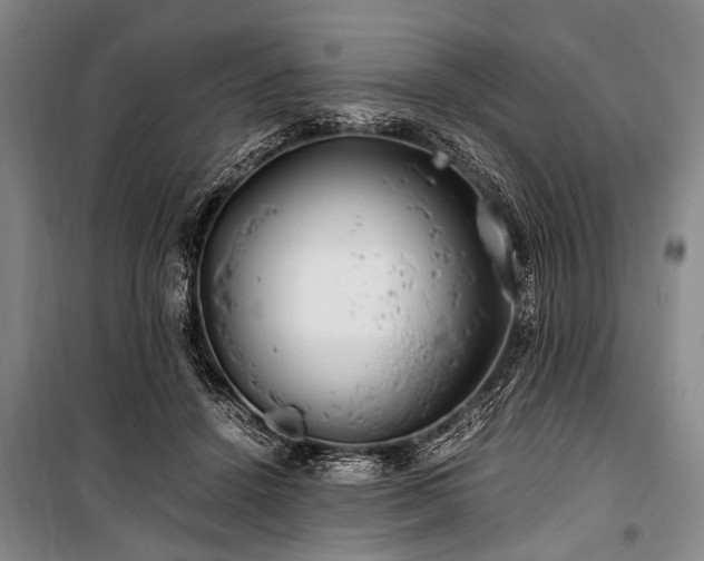 X0000101170456200806271038