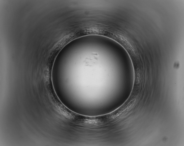 X0000101170457200806271038