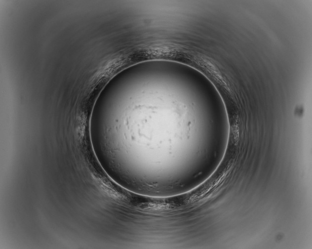 X0000101170458200806271038