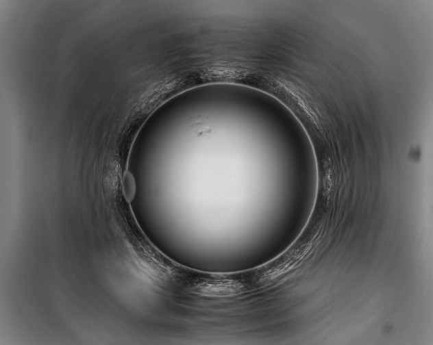 X0000101170459200806271038
