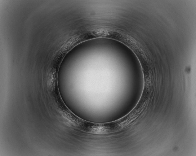 X0000101170460200806271038