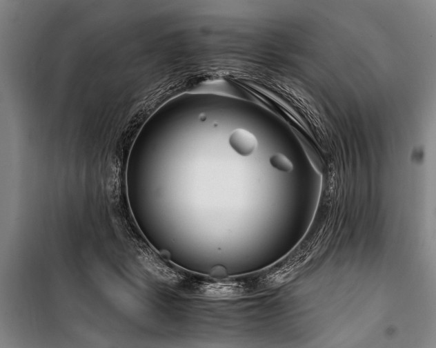 X0000101170461200806271038