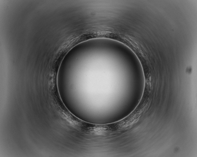 X0000101170462200806271038