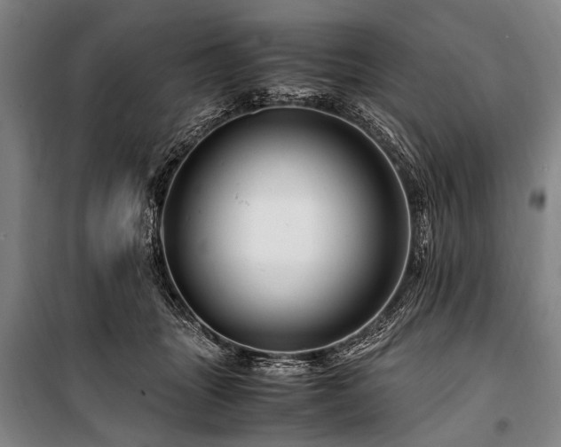 X0000101170463200806271039