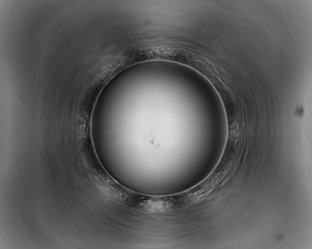 X0000101170464200806271039