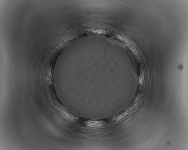X0000101170465200806271039