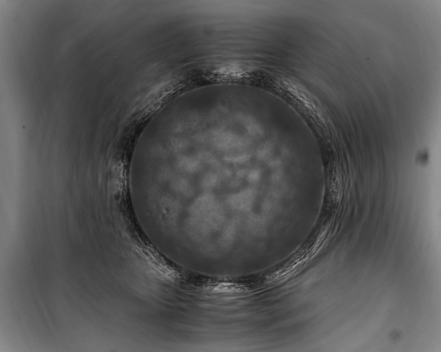 X0000101170467200806271039
