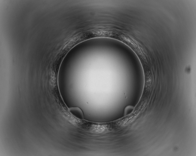 X0000101170469200806271039