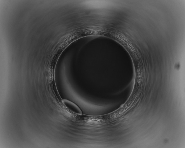 X0000101170471200806271039