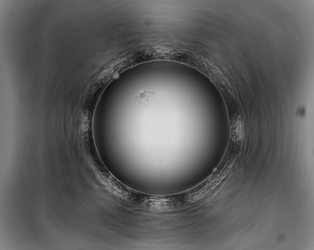 X0000101170472200806271039