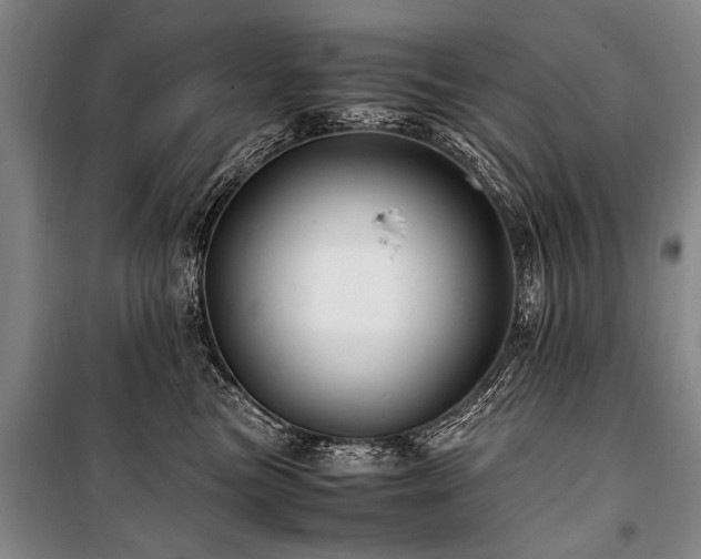 X0000101170473200806271039